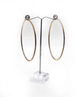 Fashion Hoop Earrings EH910375 GOLD